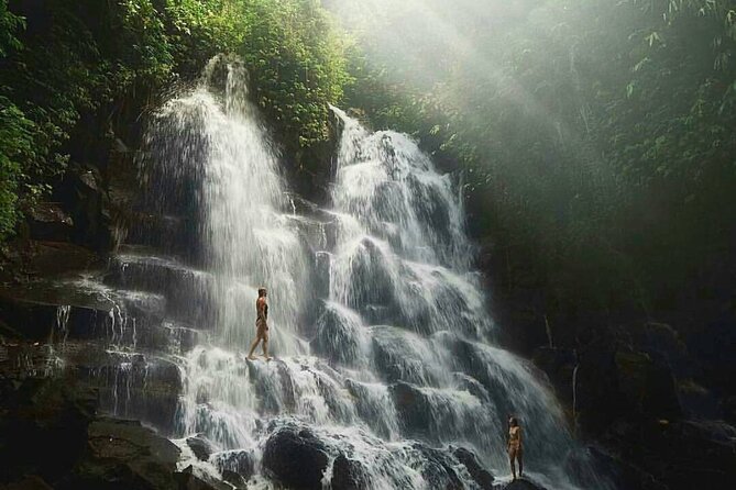 Private Tour in Ubud Waterfalls, Temple and Rice Terrace