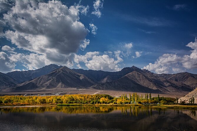 Private Tour of Ladakh for 6 Days
