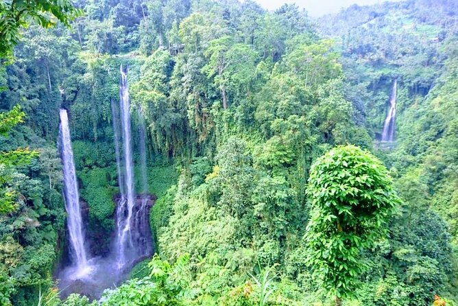 Private Tour The Magical Sekumpul Waterfall in The North of Bali - Pickup Locations and Timing