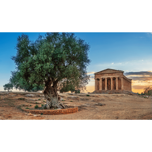 Private Tour Valley of the Temples and Scala Dei Turchi - Overview of the Private Tour