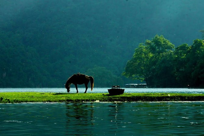 Private Transfer From Hanoi to Ba Be Lake or From Ba Be to Hanoi - Service Details