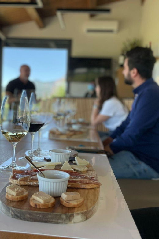 Private Wine Day From Bilbao, Visit 2 Wineries in La Rioja - Tour Overview