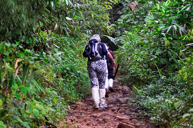 Rainforest Trekking in Kitulgala