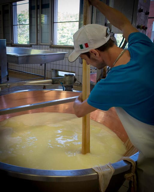 Reggio Emilia: Parmigiano Reggiano & Balsamic Vinegar Tour - Tour Overview and Pricing