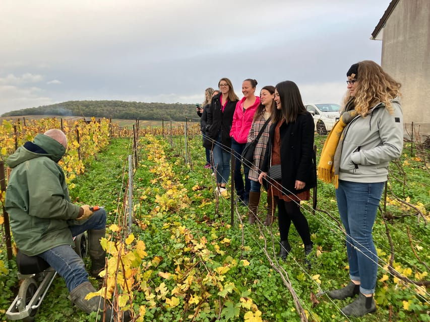 Reims/Epernay: Champagne Day Tour With Tastings