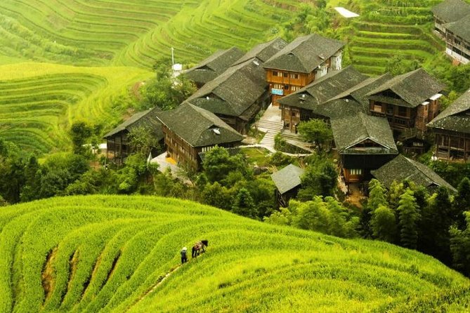Rice Terraces Sightseeing and Minority Village Visiting From Guilin