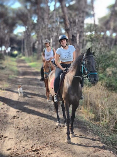 Ride in Rome With Meal and Wine Included - Overview of the Experience