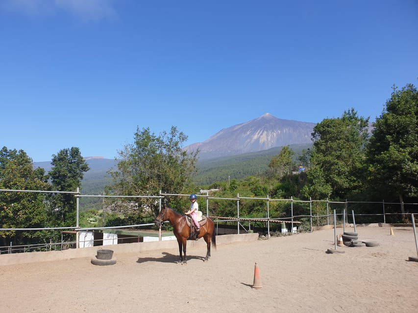 Riding Lesson for Beginners 1 Hour, Lots of Information