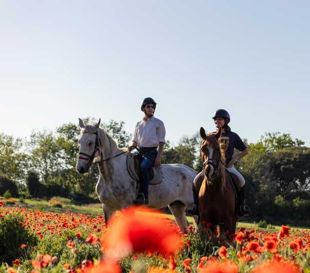 Romantic Day in Ancient Rome - Overview and Pricing