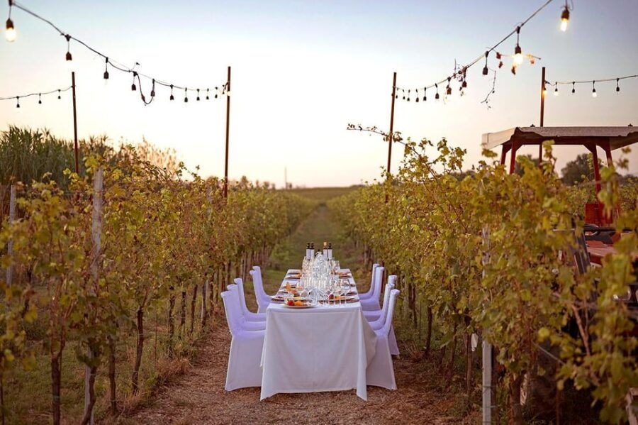 Romantic Dinner in the Vineyard of Poggio Ai Laghi Winery
