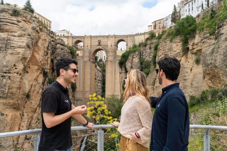 Ronda and Olive Oil Tasting: Small Group Tour From Malaga