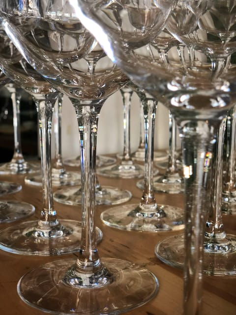 Rosé Tasting Class, Explore the Pink World - Overview of the Tasting Class