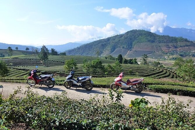 Sa Pa Private Guided Tour on a Motorbike With Local Lunch - Tour Highlights
