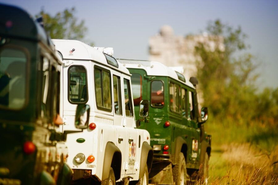 Safari 4x4 in Camargue / 3h30 / Grau Du Roi - Tour Overview
