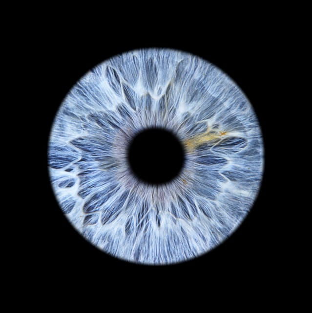 Saint-Tropez: Make Your Eyes a Unique Work of Art