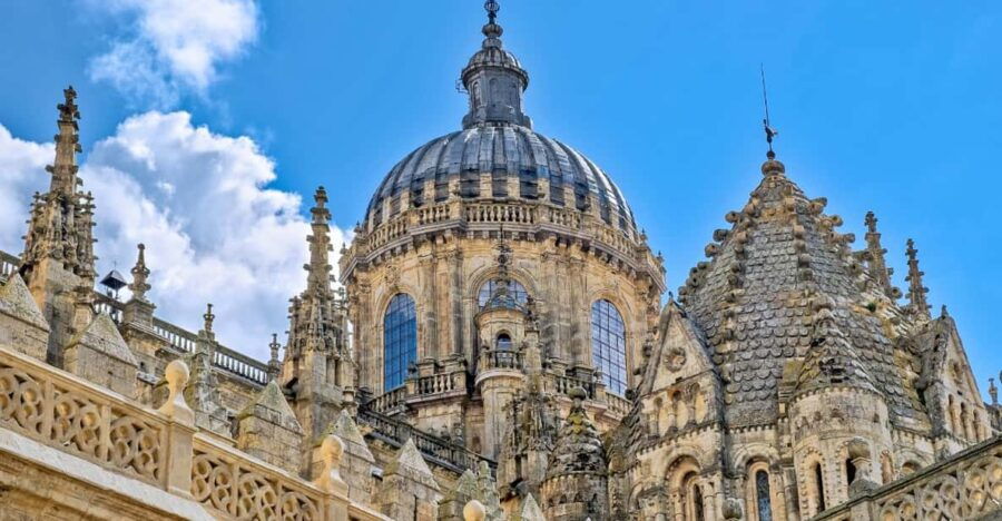 2 Best City Tours In Salamanca