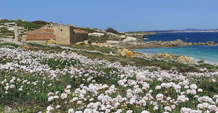 Salvora: Island Tour With Mussel Tasting - Tour Overview