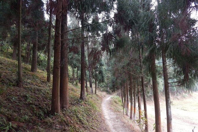 Same Day Kalimpong Full Day Excursion From Darjeeling Including Dara Hills