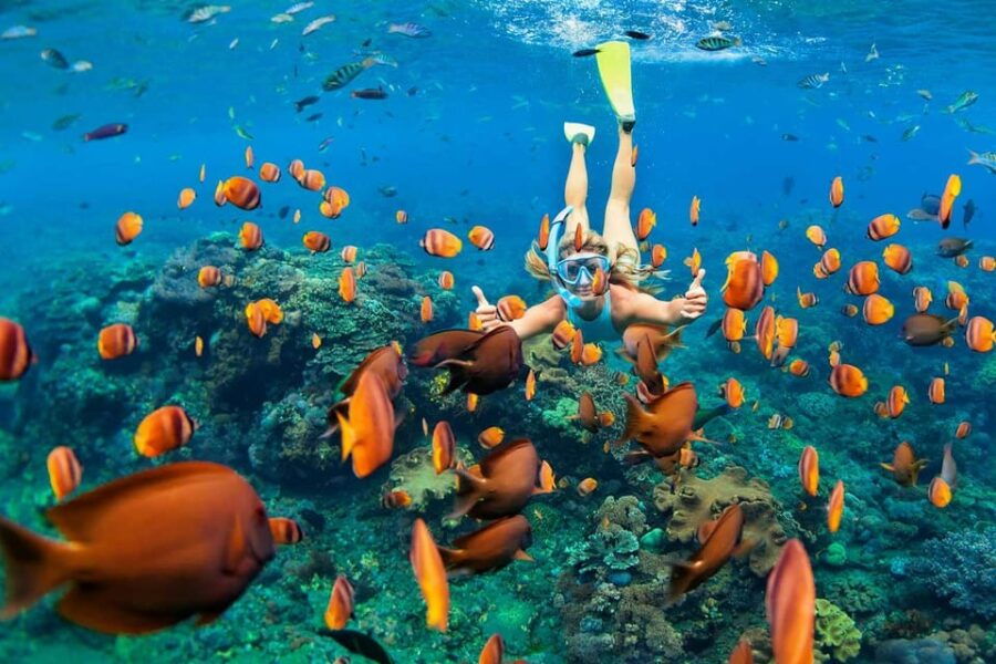 San Juan Beach, Cabo Huertas: Bike Tour & Snorkel With Drink
