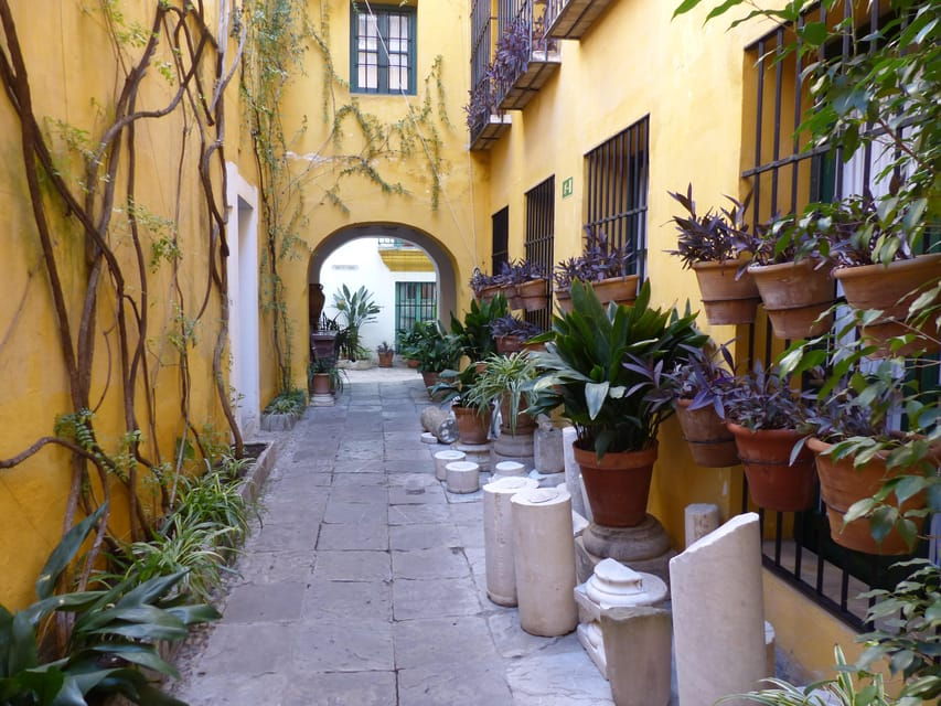 Santa Cruz and Jewish Quarter Tour