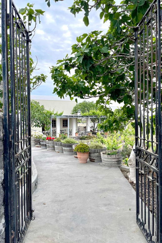 Santorini Golden Tour: Private Wine Tasting Tour-3 Wineries - Tour Overview