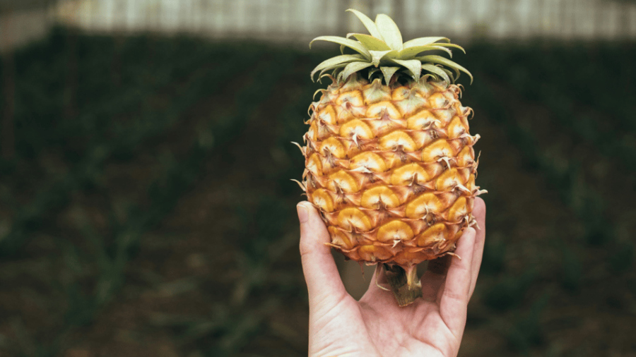 São Miguel: 2-Days Highlights Tour With Tea & Pineapple - Tour Overview
