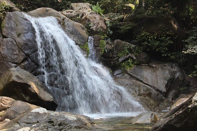 Sarawak Gunung Gading National Park Tour From Kuching - Itinerary Details