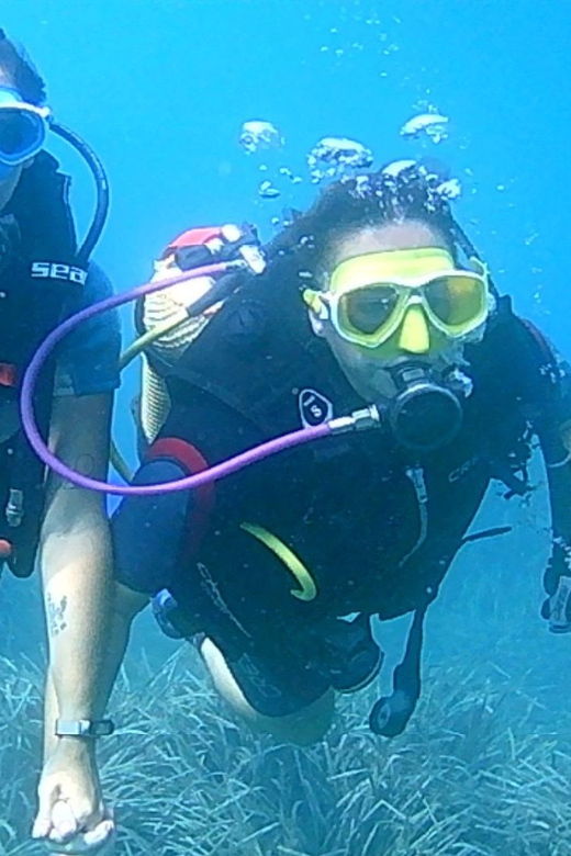 Scuba Diving Course