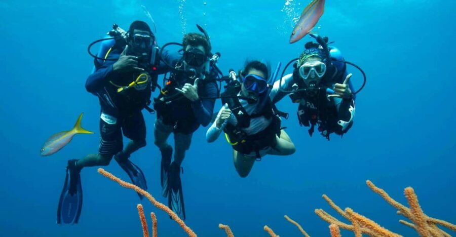 Scuba Diving Experience for Beginners In Greece - Overview of Scuba Diving