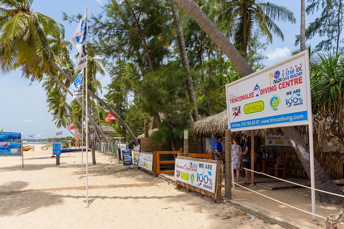 Scuba Diving For Beginners - Benefits of Scuba Diving
