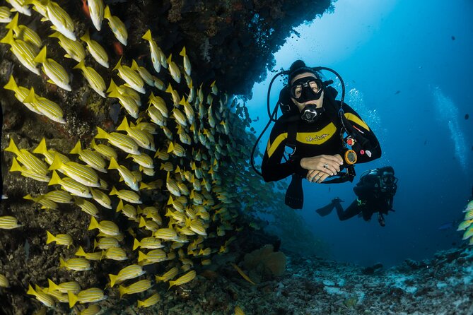 Scuba Diving in Hikkaduwa - Location