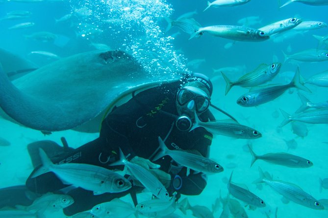 Scuba Diving in Trincomalee - Location: Trincomalee, Sri Lanka
