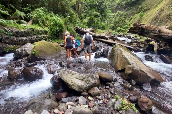 Sendang Gile And Tiu Kelep Waterfall Trekking Tour - Tour Overview