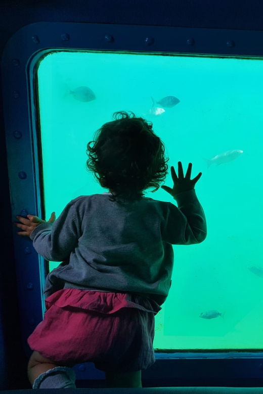 Sesimbra: Family Friendly Boat Sea Tour W/ Submarine Vision