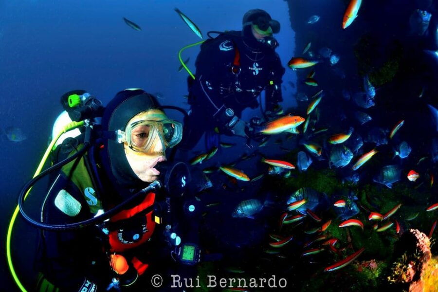 Sesimbra: Scuba Diving Experience for Beginners - Overview of the Scuba Diving Experience