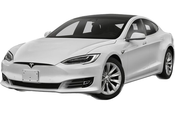 Shanghai City Tour | 8 Hours | English Speaking Driver | Tesla Luxury Sedan