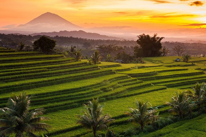 Shared Tour: Jatiluwih Rice Terraces - Ulun Danu Temple - Banyumala Waterfalls - Availability and Flexibility