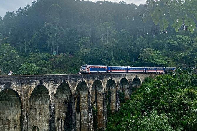 Shore Excursion Hambantota Port to Ella Day Tour (All Inclusive) - Highlights of the Day