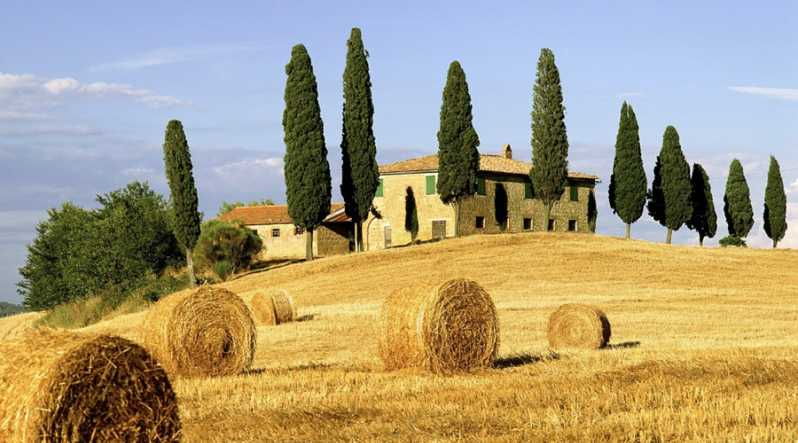 Shore Trip From La Spezia: Pisa,Lucca,Lunch & Tasting Winery - Overview of the Shore Trip
