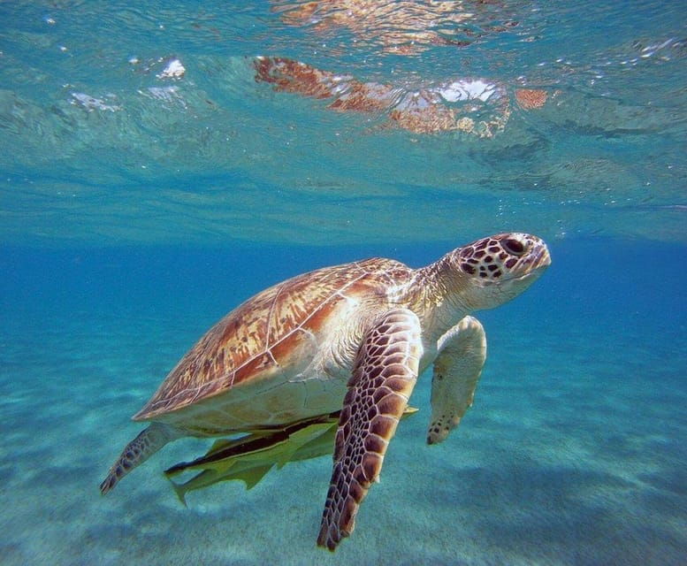 Side: Alanya Boat Tour to the Cleopatra Beach & Hidden Bays