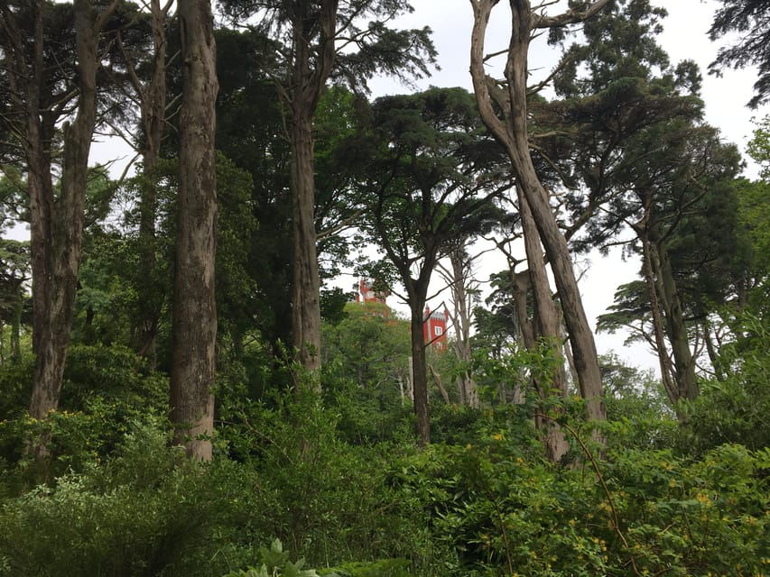 Sintra: Pena Palace Guided Tour