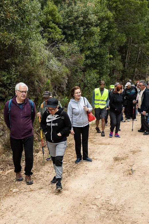 Sintra Walking Tour: Between Palaces and Mystical Nature - Overview of the Tour