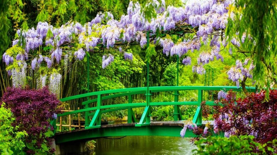 Skip the Line – Private Morning Visit Claude Monet’S Garden