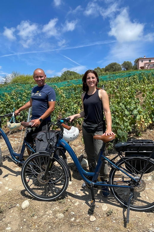 Small Group Guided E-Bike Tour in Nice's Organic Vineyard - Tour Overview and Pricing