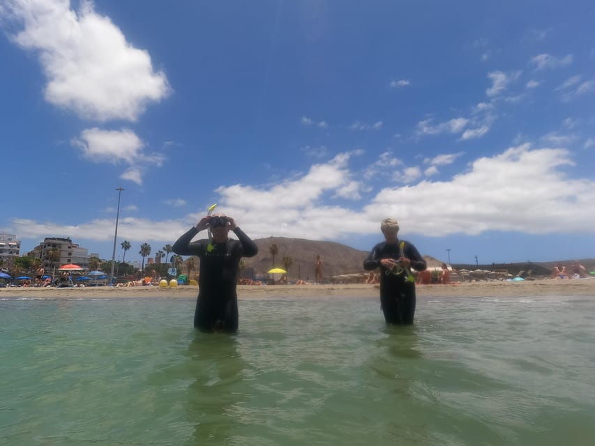 Snorkeing in Tenerife Sur: Discovering the Underwater World