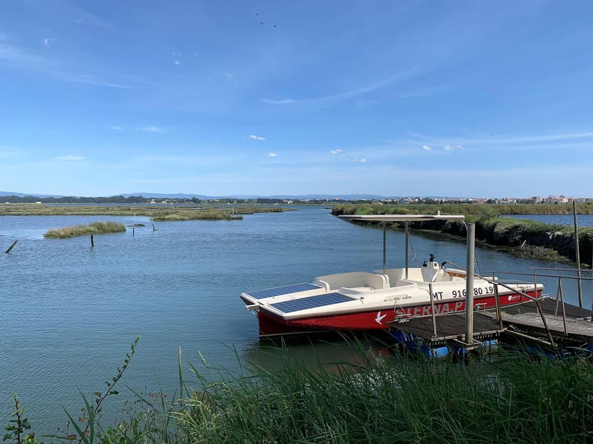 Solar Boat Tour Along the Salgado Da Ria De Aveiro