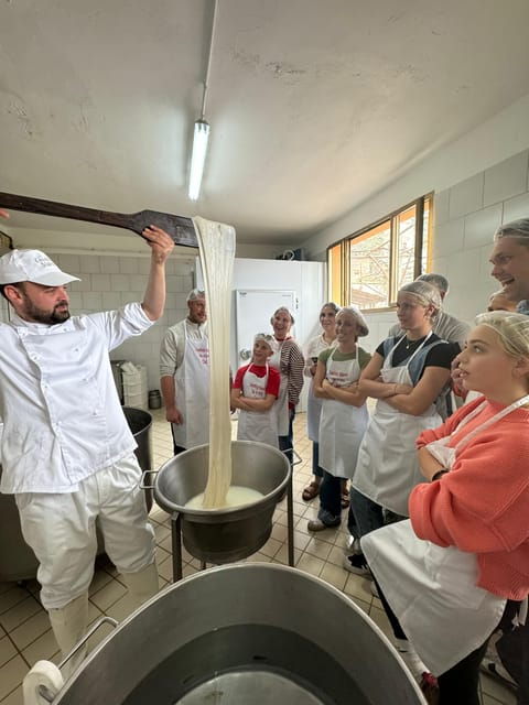 Sorrento Coast Mozzarella Tasting & Cheese Making Experience