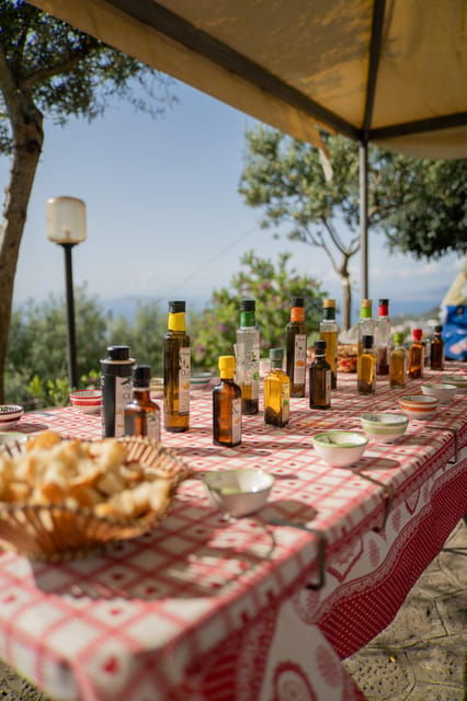 Sorrento: Lemons Grove&Cheese Show With Local Food Tasting - Overview of the Experience