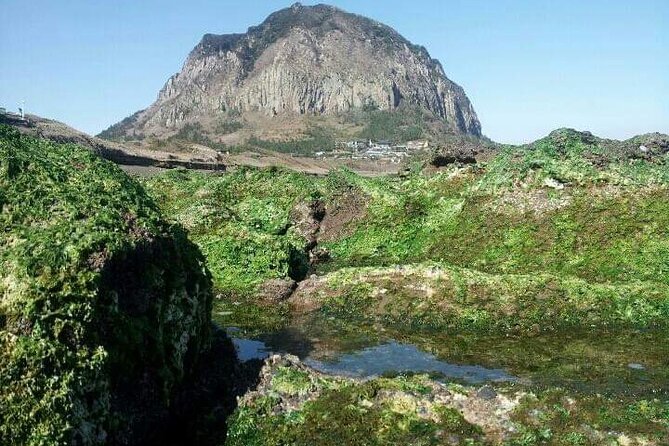 South of Jeju Private Jumbo Taxi Tour With Mr.Ko (Suhong) - Pickup Details