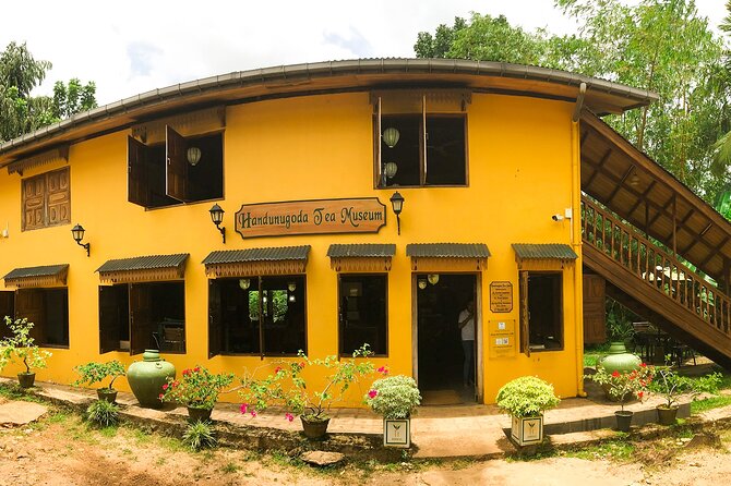 Southern Coast Highlights From Negombo